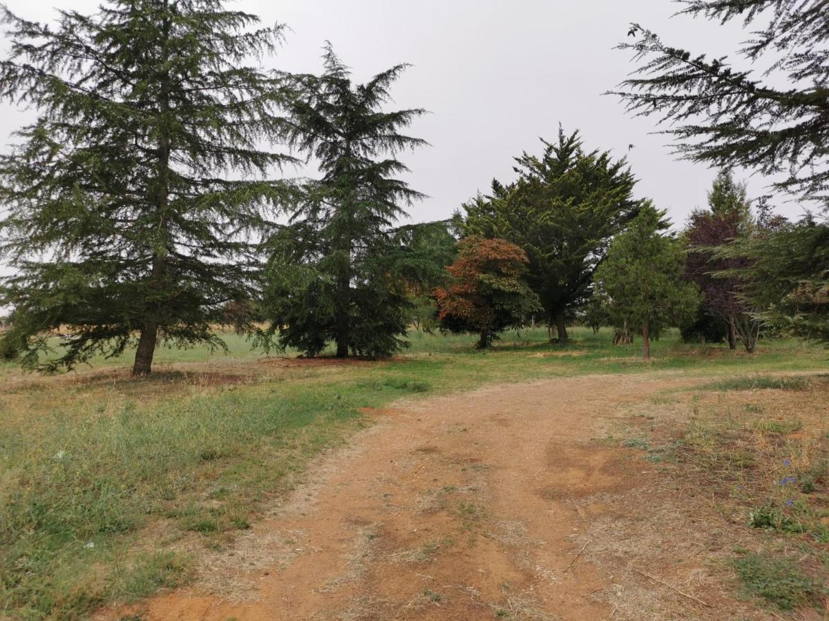 Casa Chalet En El Campo Barbadillo 外观 照片