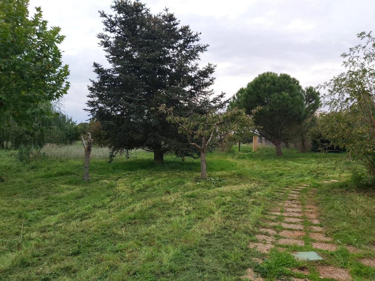 Casa Chalet En El Campo Barbadillo 外观 照片