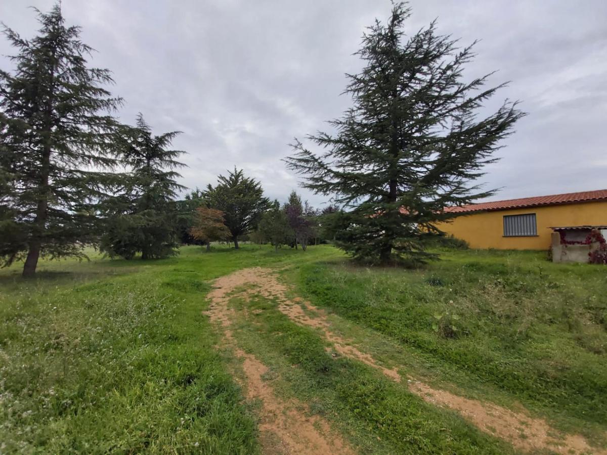 Casa Chalet En El Campo Barbadillo 外观 照片
