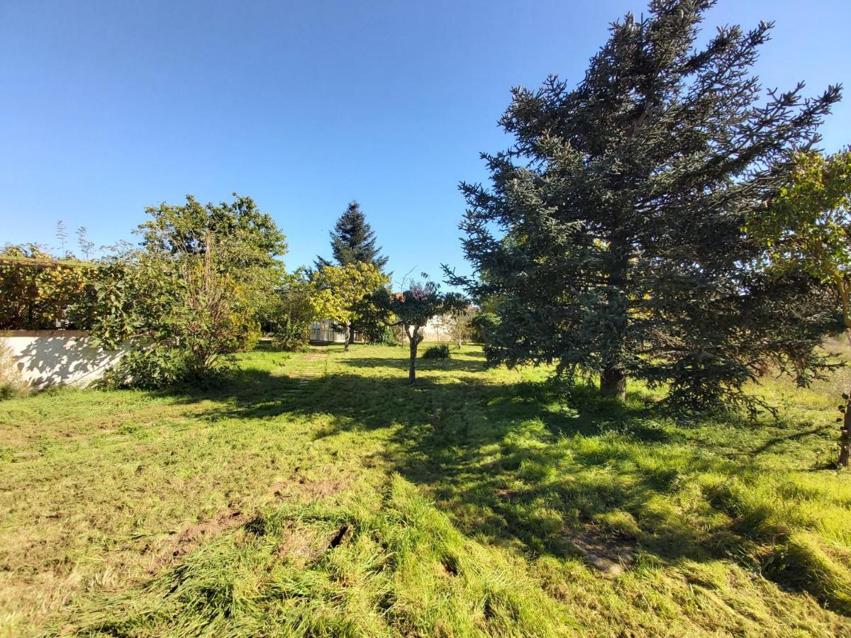 Casa Chalet En El Campo Barbadillo 外观 照片