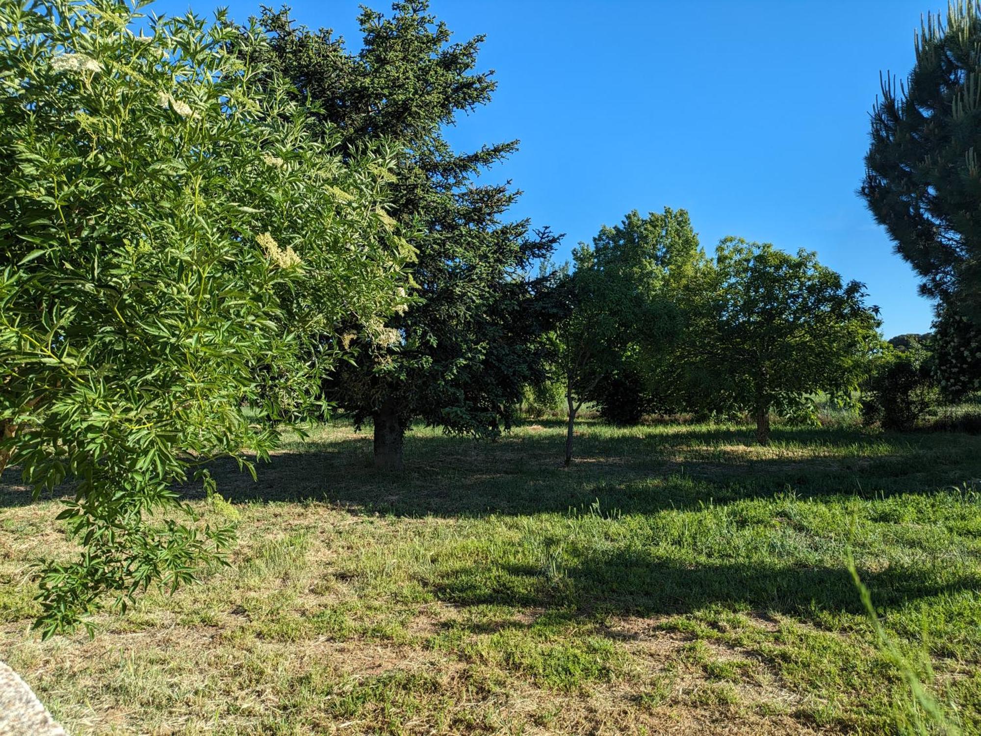 Casa Chalet En El Campo Barbadillo 外观 照片